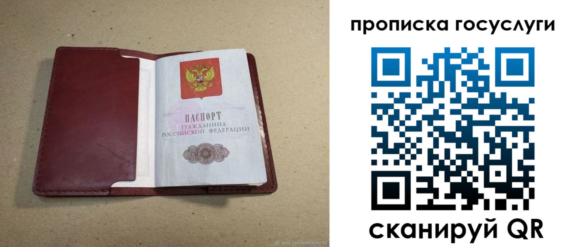 прописка поиск в Мариинском Посаде